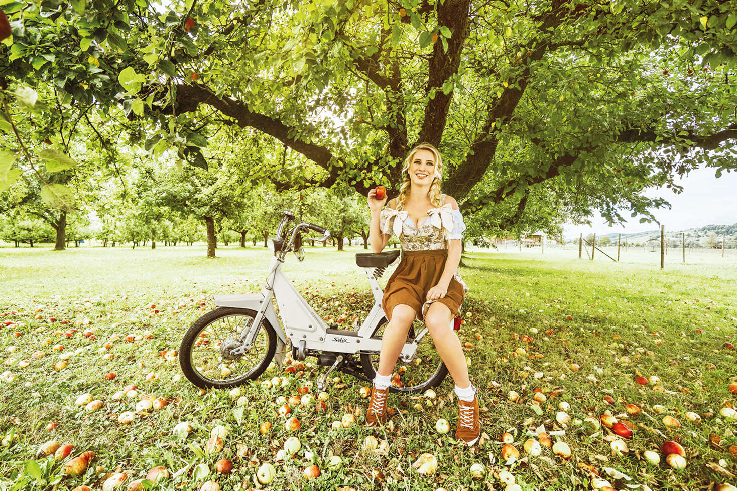 story-image-2-solex-1500 ×1000 story-image-2-solex-1500 ×1000