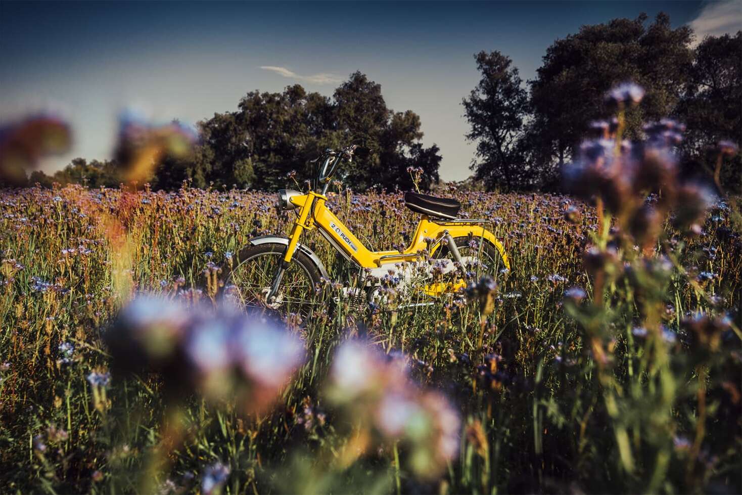 story-image-1-puch-1500 ×1000 story-image-1-puch-1500 ×1000