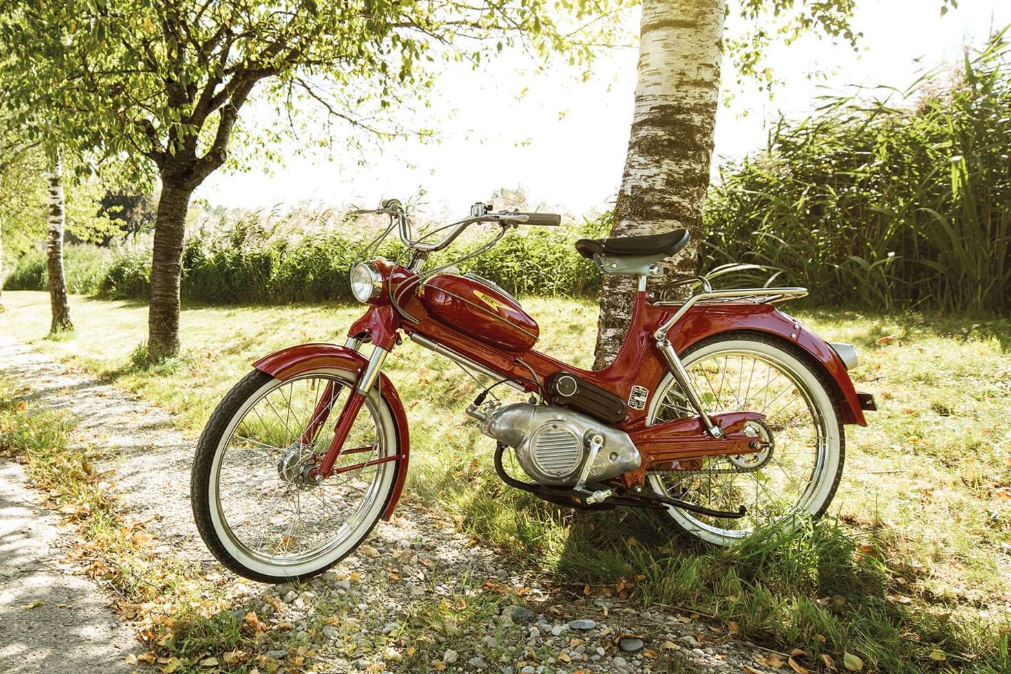 story-image-2-puch-1500 ×1000 story-image-2-puch-1500 ×1000