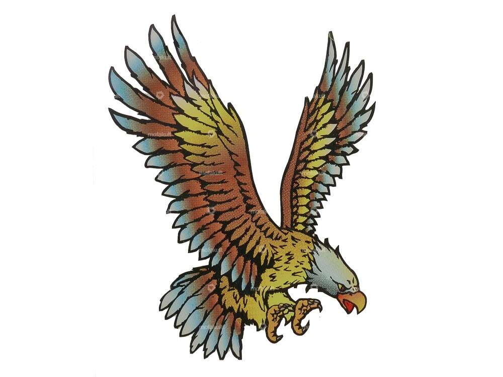 Eagle" sticker 85 x 105 mm Carousel Image 1