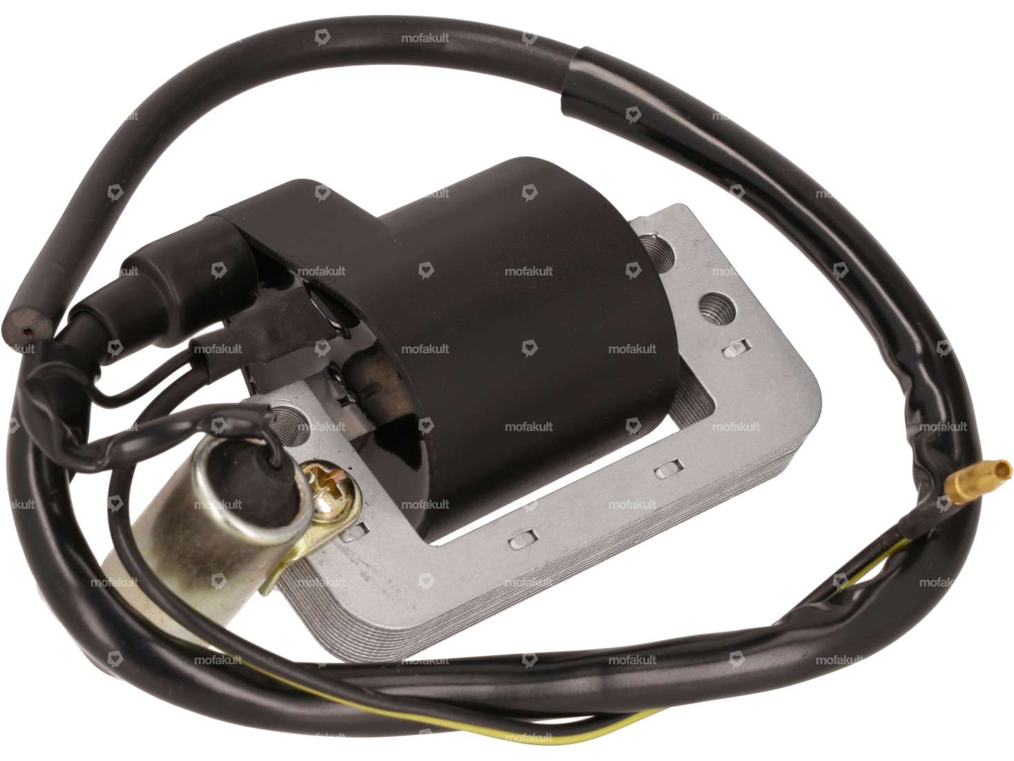External ignition coil with capacitor | Honda Camino Carousel Image 1