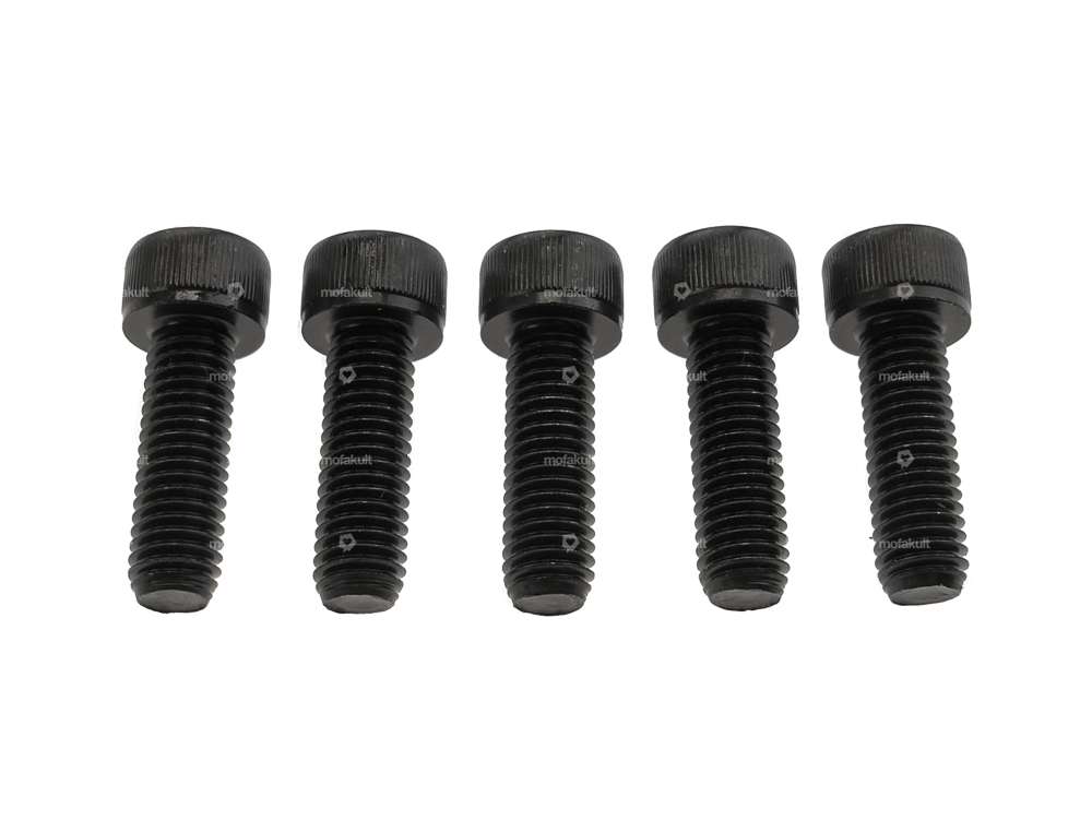 GPO bolt set wheel hub cast iron black (12.9 strength) | Puch Carousel Image 1