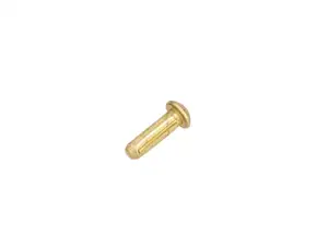 Serrated nail 3 x 10 mm brass Serrated nail 3 x 10 mm brass