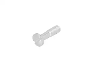swiing® revival screw M4x14 cover Bing swiing® revival screw M4x14 cover Bing