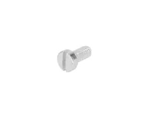 Screw M4x8 cylinder head slot galvanized Screw M4x8 cylinder head slot galvanized