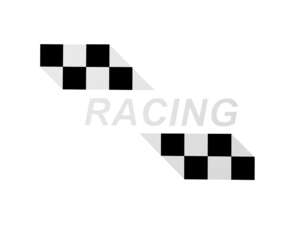 "RACING" White Fuel Tank Decal | Puch X30 NG-2AH "RACING" White Fuel Tank Decal | Puch X30 NG-2AH