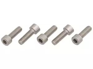 GPO screws (5 pieces) cast hub Inox | Puch GPO screws (5 pieces) cast hub Inox | Puch